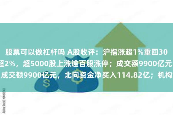 股票可以做杠杆吗 A股收评：沪指涨超1%重回3000点，创指深成指涨超2%，超5000股上涨逾百股涨停；成交额9900亿元，北向资金净买入114.82亿；机构解读后市