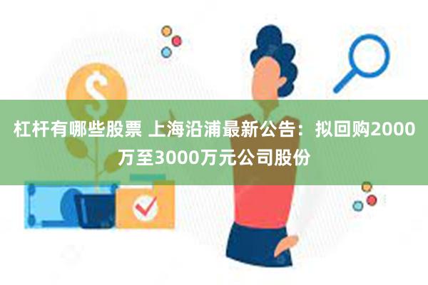 杠杆有哪些股票 上海沿浦最新公告：拟回购2000万至3000万元公司股份